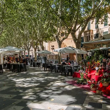 Apartamento Sweet Palma de Mallorca